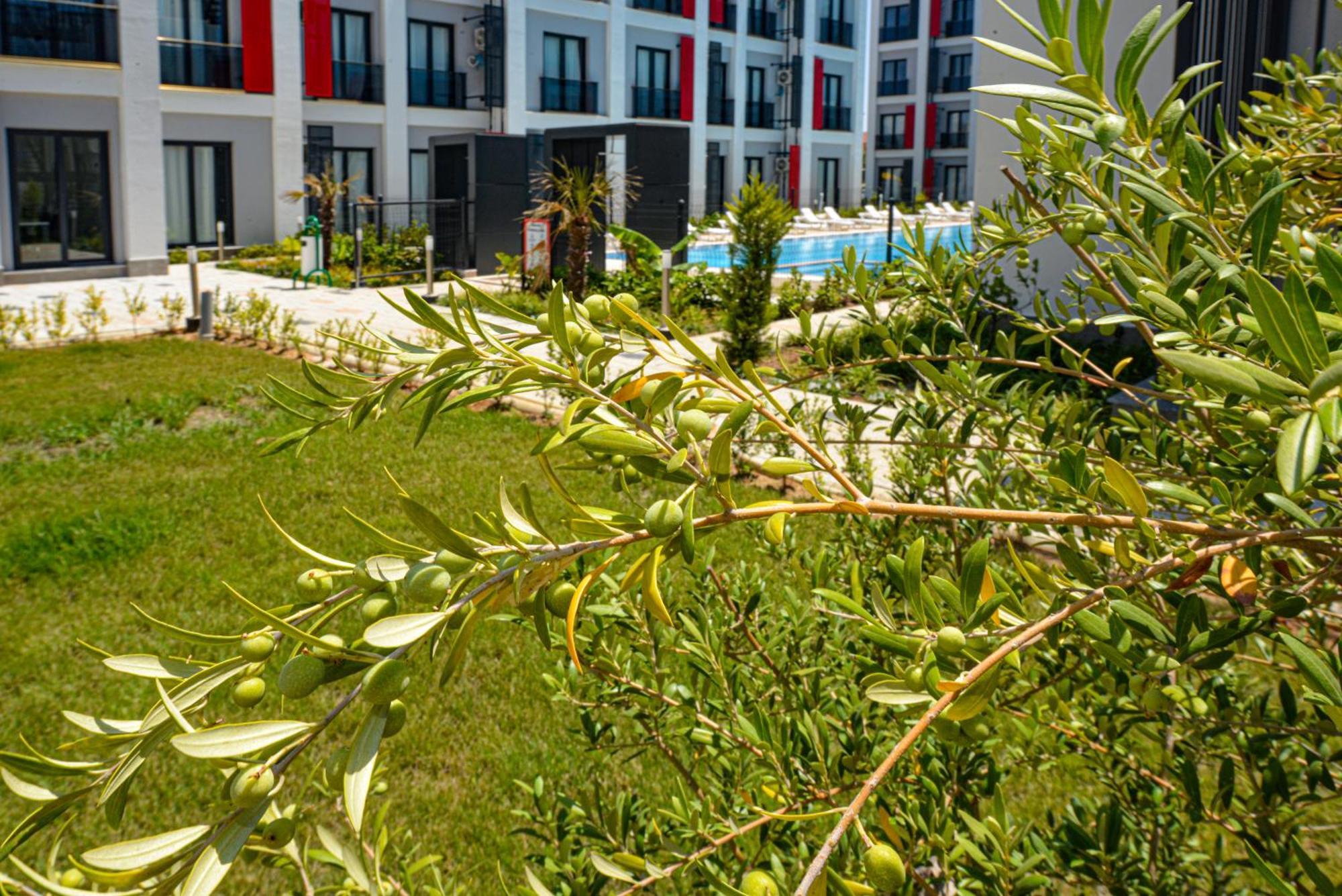 C Suites Antalia Airport Екстер'єр фото